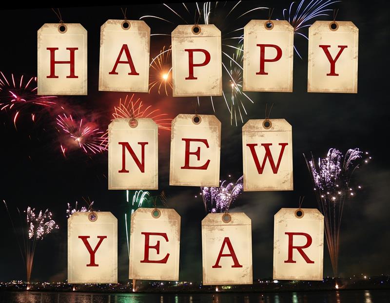 New Year's Concert in the Municipal House - preview image